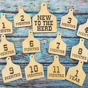 Cattle Tag photo prop set / Western Cattle Tag Baby Milestone / Birth Announcement / Photo Prop