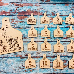 Custom Brand Western Tag Baby Milestone / Western Baby/ Birth Announcement / Photo Prop