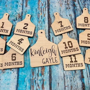 Personalized Cattle Tag photo prop set / Western Cattle Tag Baby Milestone / Birth Announcement / Photo Prop