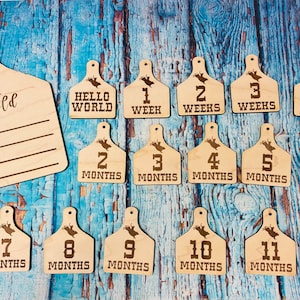 Western Tag Baby Milestone / Bull Rider Baby/ Birth Announcement / Photo Prop