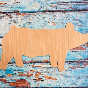 Show Pig Cutout / Show Pig Stall Sign / Show Pig Paint Kit / Kids Paint Kit