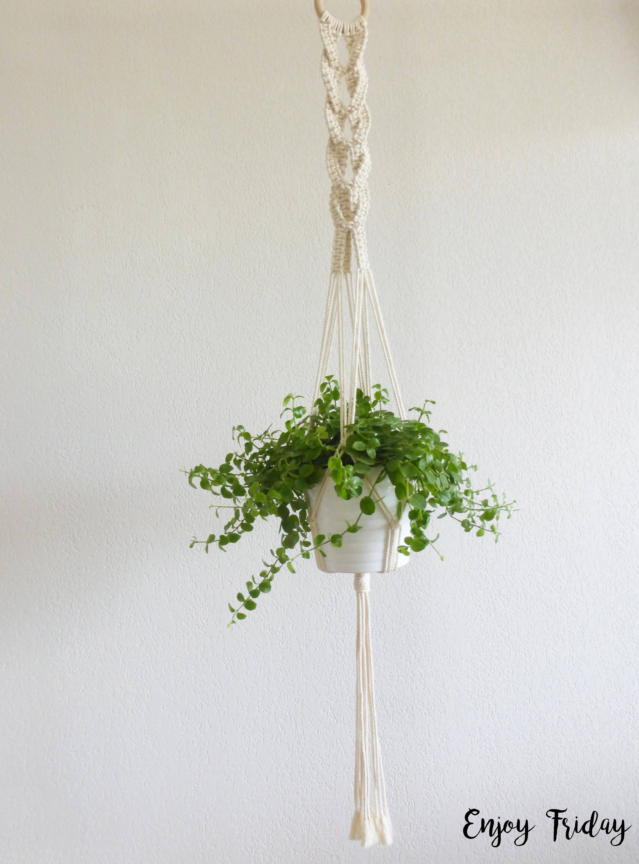 Grande Suspension Pour Plante en Macramé