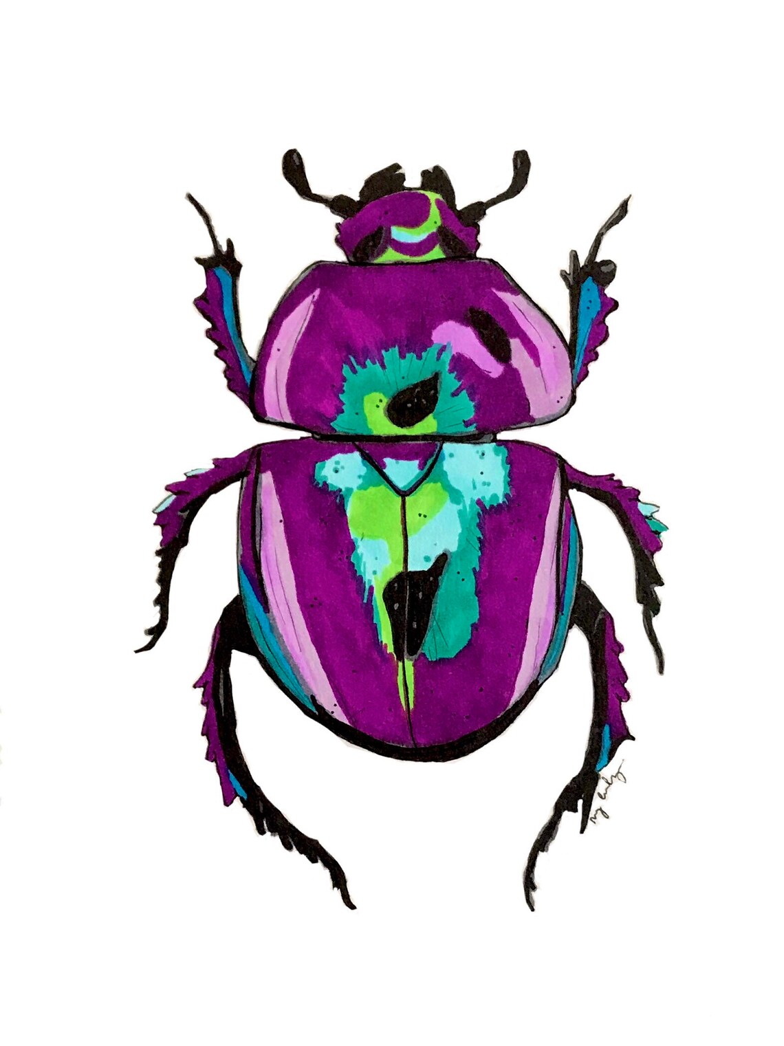 Scarab Beetle Illustration Etsy