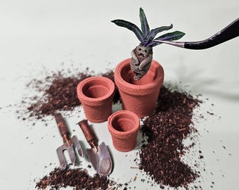 Mandrágora pequeña n.° 2 - esculpida a mano - arcilla polimérica - artículo para casa de muñecas - escala 12