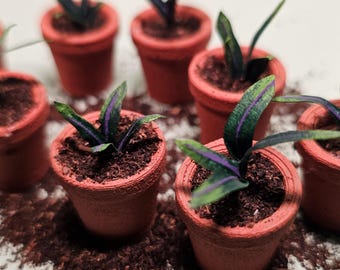 Macetas en miniatura con planta - hechas a mano - artículo para casa de muñecas - escala 12