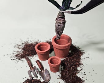 Mandrágora pequeña n.° 6 - esculpida a mano - arcilla polimérica - artículo para casa de muñecas - escala 12