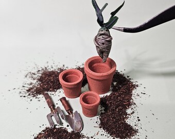 Mandrágora pequeña n.° 7 - esculpida a mano - arcilla polimérica - artículo para casa de muñecas - escala 12