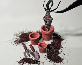 Mandrágora pequeña n.° 10 - esculpida a mano - arcilla polimérica - artículo para casa de muñecas - escala 12