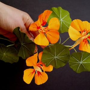 Paper Nasturtium Tutorial / Paper Flower Tutorial