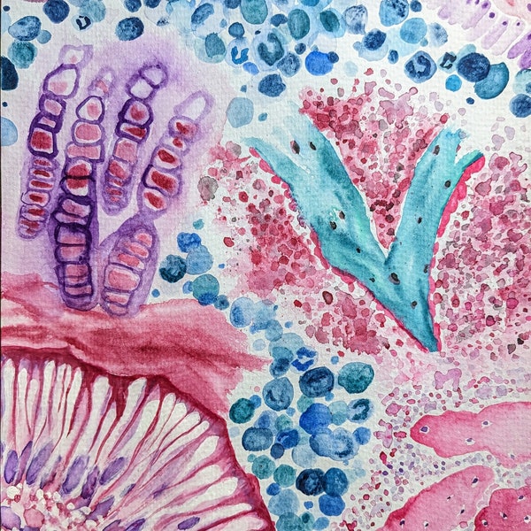 Histology Watercolor Art Original Painting