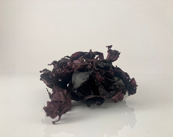 Atlantic Dulse | Wild harvested | Sun-Dried