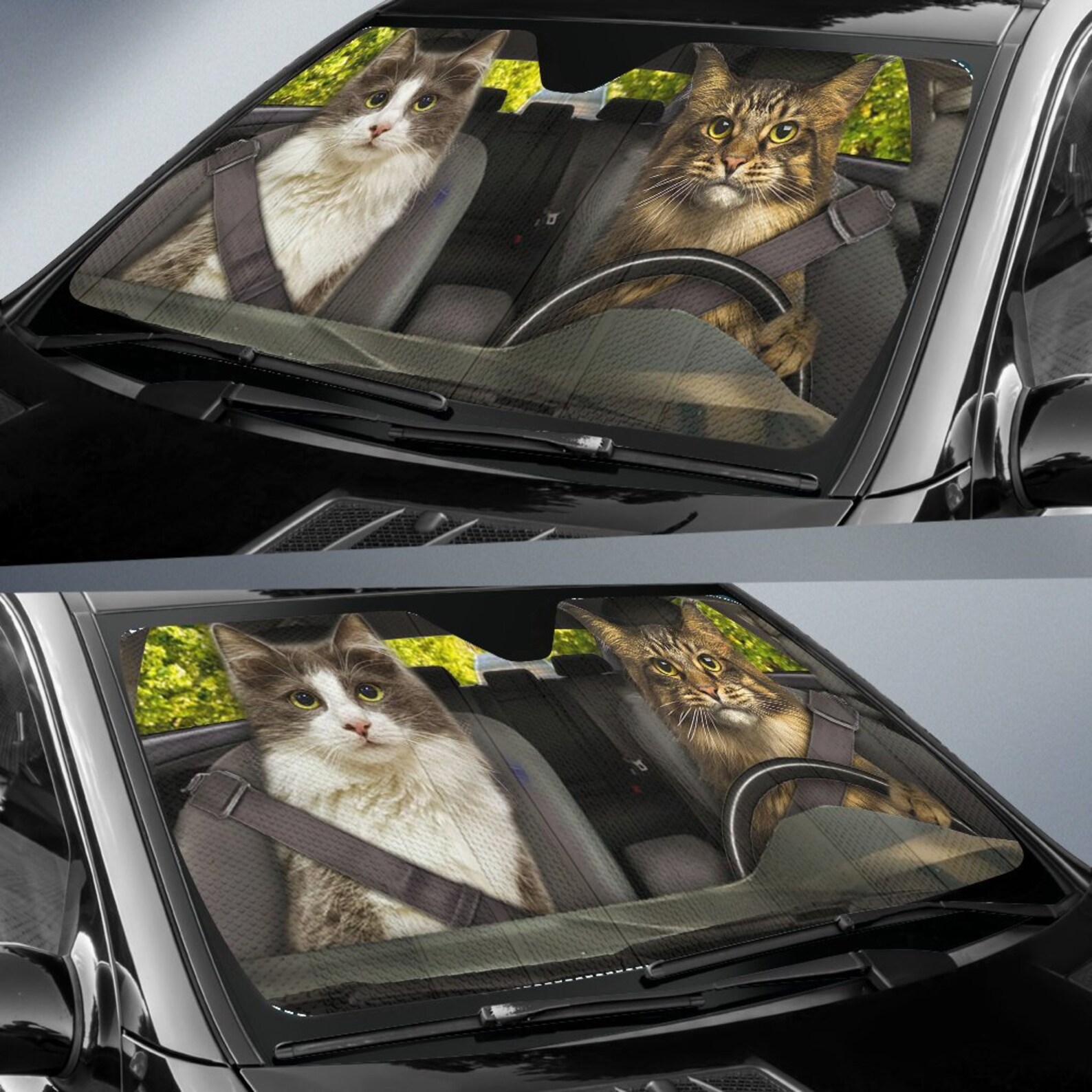 Cats Auto Sun Shade Kitty Meow Car Sun Shade Windshield Etsy Australia