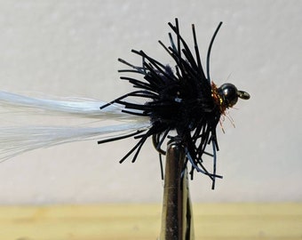 Black Creeper Cat Fly