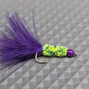 May include: A purple and green fly fishing lure with a purple feather tail and a green and silver body.
