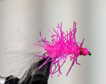 Hot Pink Creeper Cats Fly