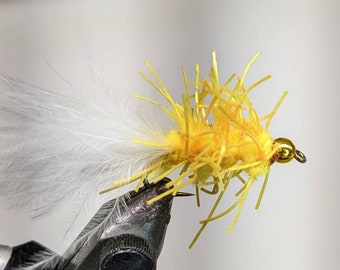 Blushing Sunburst Creeper Cats Fly