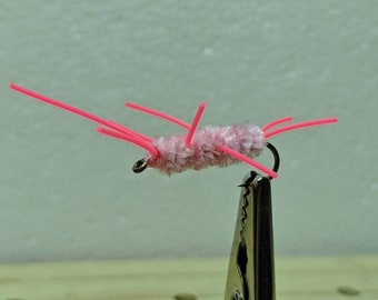 Girdle Bug