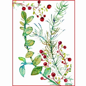 Father's Day, original watercolor, botany, leaves, berries,Art, postcard, watercolor, painting, red, gift, for coaster image 3