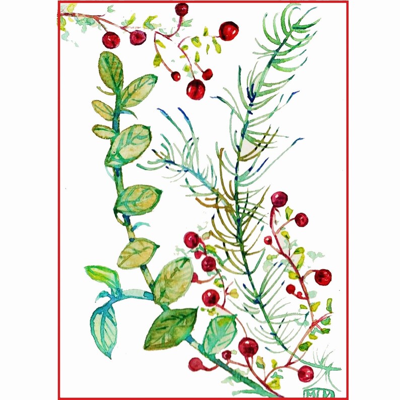 fête des pères, aquarelle originale, botanique, feuilles, baies,Art, carte postale, aquarelle, peinture, rouge, cadeau, pour sous-verre image 3