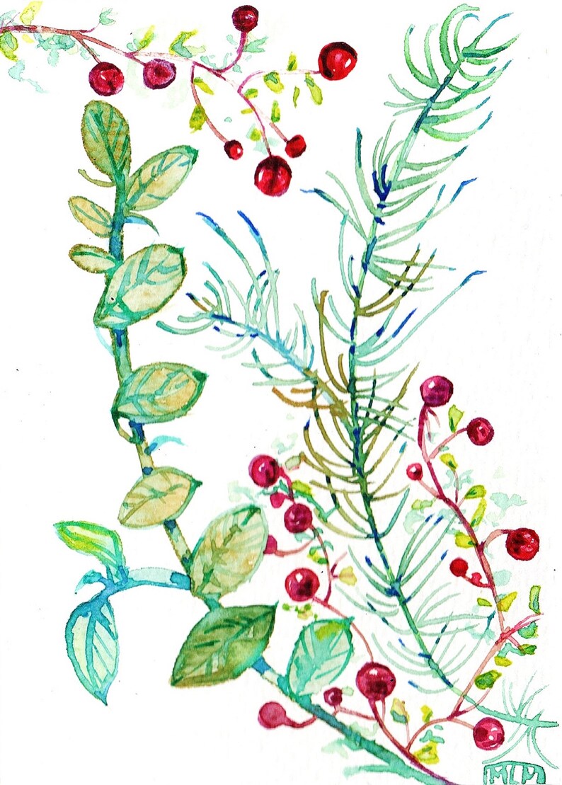 Father's Day, original watercolor, botany, leaves, berries,Art, postcard, watercolor, painting, red, gift, for coaster image 2