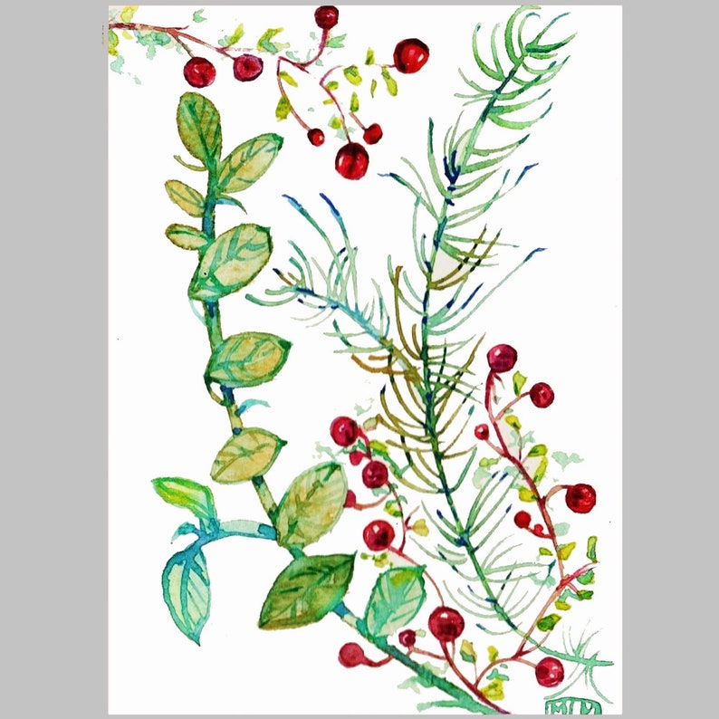 Father's Day, original watercolor, botany, leaves, berries,Art, postcard, watercolor, painting, red, gift, for coaster image 1