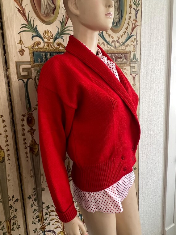 Vintage Pendleton Sweater - image 3