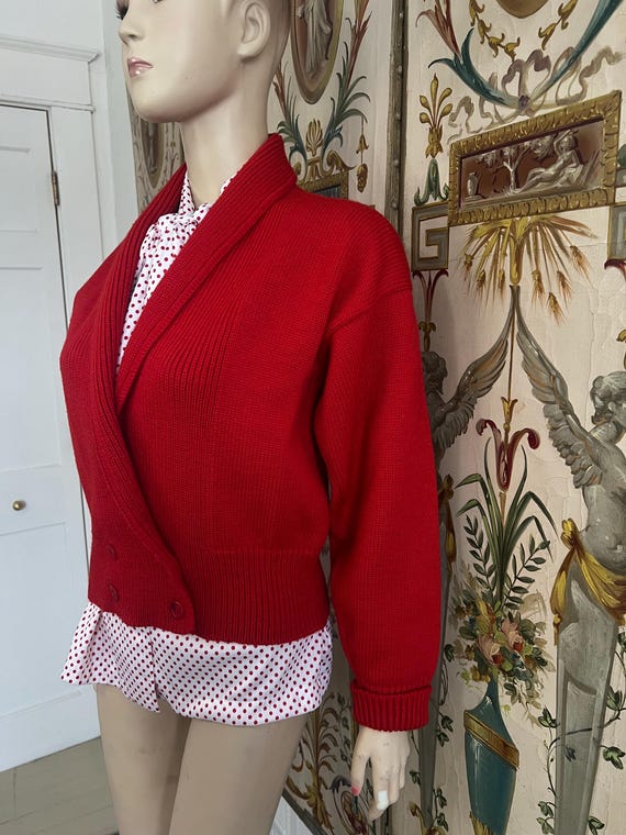 Vintage Pendleton Sweater - image 2