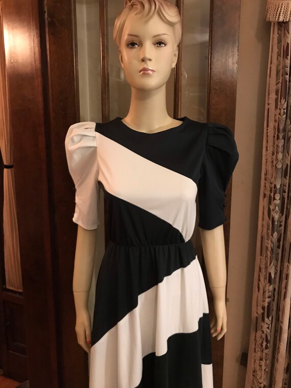 Vintage Black and White Dress - image 1