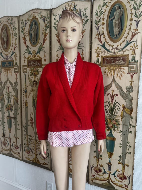 Vintage Pendleton Sweater - image 1