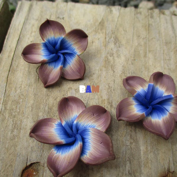 Fleur de frangipanier taupe bleue