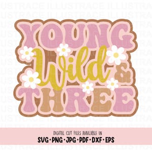 Young Wild and Three voor 3e verjaardag, Young Wild and Three Party-taarttopper, taarttopper voor 3e verjaardag, Retro Groovy Kid derde verjaardag