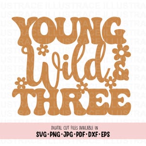 Young Wild and Three voor 3e verjaardag, Young Wild and Three Party-taarttopper, taarttopper voor 3e verjaardag, Retro Groovy Kid derde verjaardag