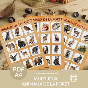 Multi jeux Animaux de la forêt, loto, mise en paire, memory, activité maternelle et primaire, ief, enseignant, pdf imprimable