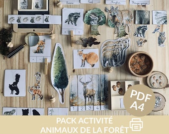Pack activités animaux de la forêt A IMPRIMER, 2 fichiers pdf,  pour les enfants d'âge préscolaire, maternelle et pour le début primaire.