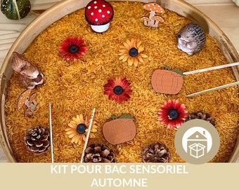 Autumn Rice Sensory Bin Kit