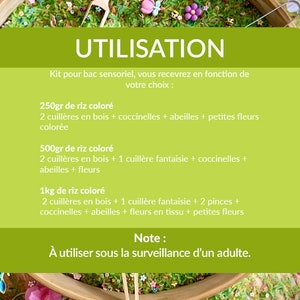 Kit de remplissage pour bac sensoriel de riz, thème printemps, fleurs, coccinelles, abeilles, pinces image 8