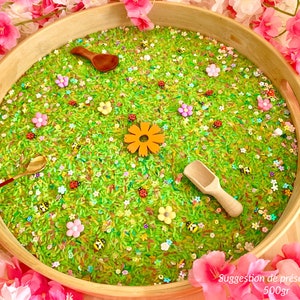 Filling kit for rice sensory bin, spring theme, flowers, ladybugs, bees, clips image 6