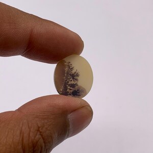Natural Dendritic Quartz Cabochon Gemstone for Jewelry Making 100% Authentic