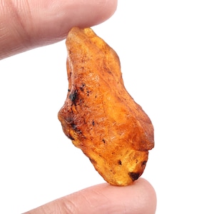 Ambra baltica grezza, 100% ambra baltica grezza naturale pietra preziosa sciolta 28 carati 42X18X17 mm, ambra rara, ambra grezza