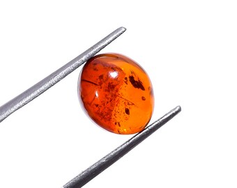 May include: A polished, oval-shaped amber gemstone with a deep orange hue and visible internal inclusions, held securely between the two metal tips of a pair of silver-toned tweezers against a plain white background.