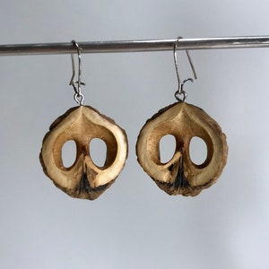 May include: A pair of earrings made from the halved shells of a walnut. The earrings are a light brown colour and have a natural, rustic look. The earrings are suspended from silver hooks.
