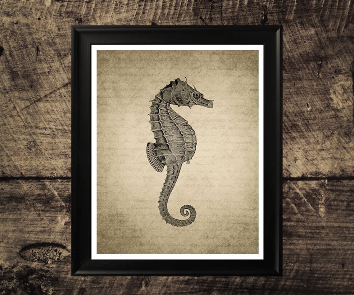 Seahorse print vintage seahorse wall art printable seahorse | Etsy