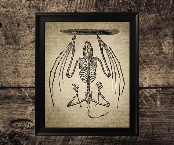 Esqueleto de murciélago murciélago esqueleto arte diseño de | Etsy México