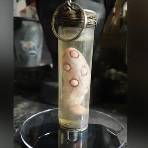 Könnte beinhalten: Ein kleines, weißes, fleischiges Objekt mit roten und weißen Markierungen ist in einem durchsichtigen Glasröhrchen mit einem Metalldeckel eingeschlossen. Das Röhrchen ist an einem silbernen Schlüsselring befestigt.