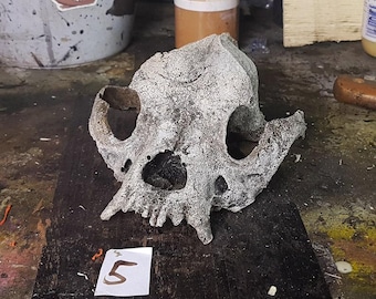 RÉPLICA DE ESPUMA SUAVE postapocalíptica 1:1 Perro.Calavera (Boxer) 18 cm