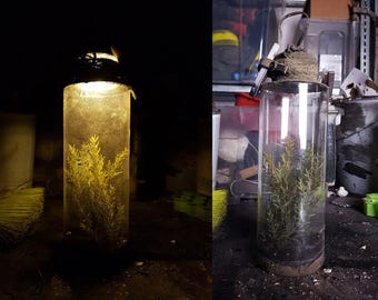 Plantas post apocalípticas en accesorio "recolector de muestras" con luces/frasco de muestras de plantas