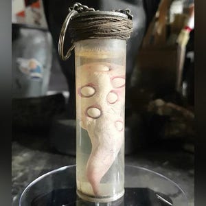 Könnte beinhalten: Ein klares Glasfläschchen mit einem silbernen Deckel und einer braunen Schnur, die um die Oberseite gebunden ist. Im Inneren des Fläschchens befindet sich ein weißes, fleischiges Objekt mit mehreren runden, weißen Flecken.