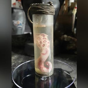 Könnte beinhalten: Ein kleines, rosafarbenes, tentakelartiges Wesen ist in einem durchsichtigen Glasfläschchen mit einem Korkverschluss konserviert. Das Fläschchen hängt an einer silbernen Kette.
