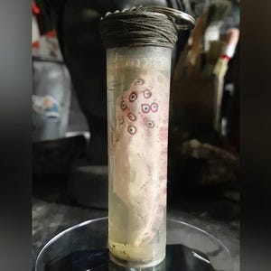 Könnte beinhalten: Ein klares Glasröhrchen mit einem schwarzen Deckel und einer daran befestigten Schnur. Im Inneren des Röhrchens befindet sich ein weißes, fleischiges Objekt mit roten und weißen Augen.