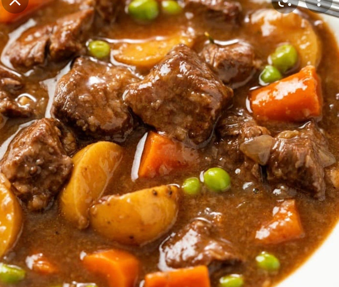 Freeze Dried Beef Stew .healthy Meals for Camping Hiking Etsy